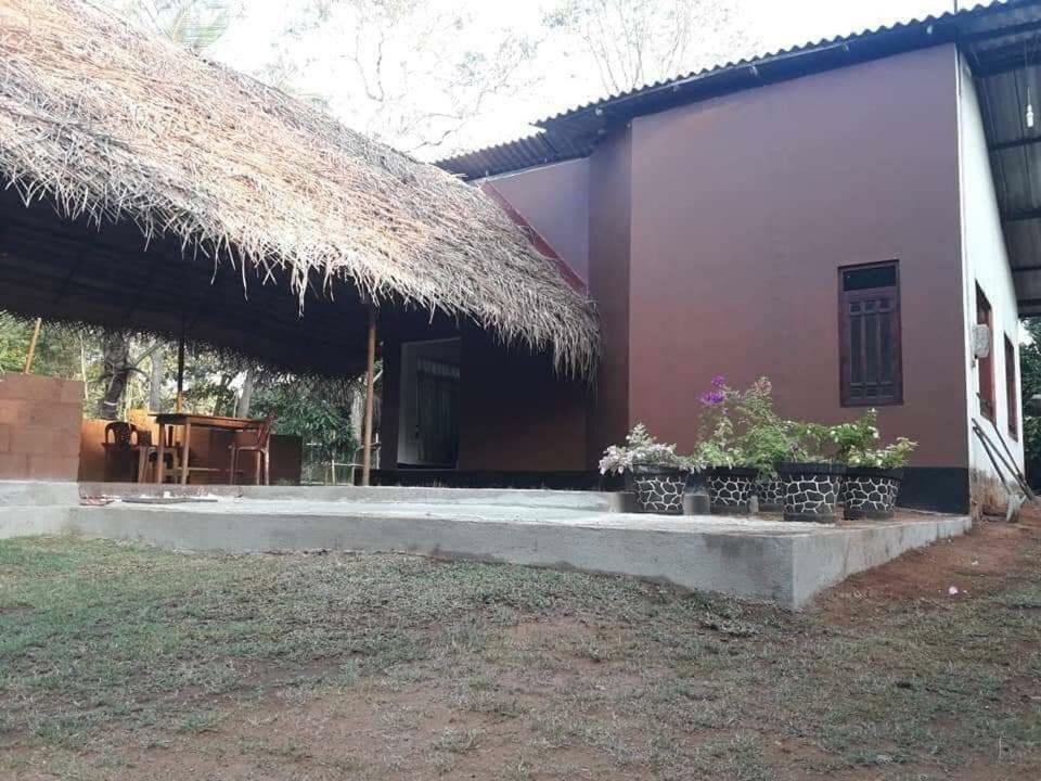 Gimanhala Cottage & Cookary Class Anuradhapura Eksteriør billede