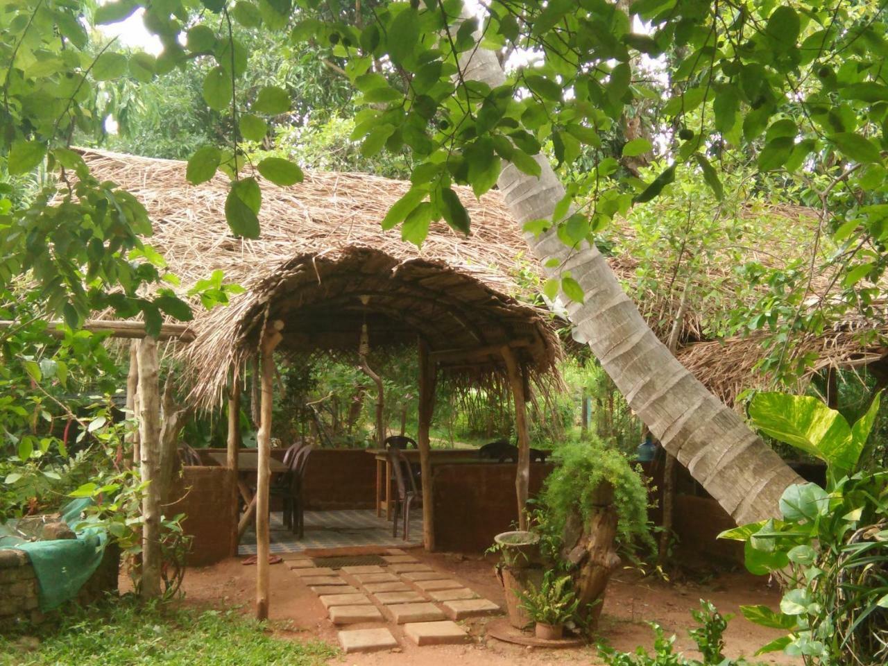 Gimanhala Cottage & Cookary Class Anuradhapura Eksteriør billede